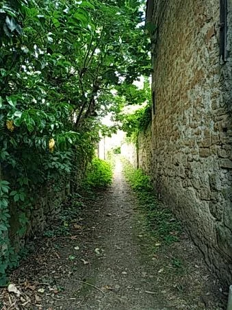 Gîte Les Capucins-Figeac 46 - Divers (2)